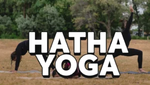 Key Poses of Hatha Yoga