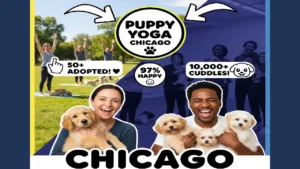 Puppy yoga Chicago